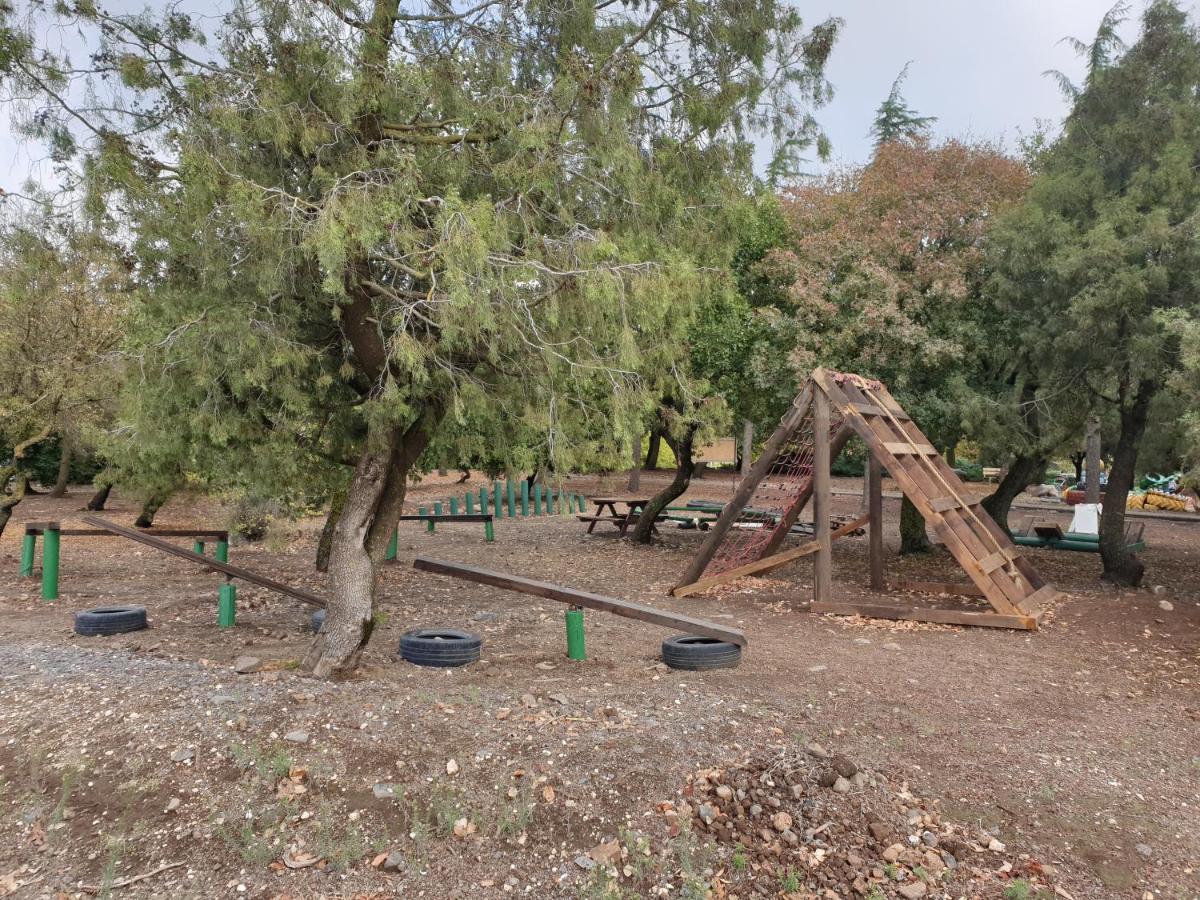 Апартаменти פינה חמה ברמה Ейн-Зіван Екстер'єр фото